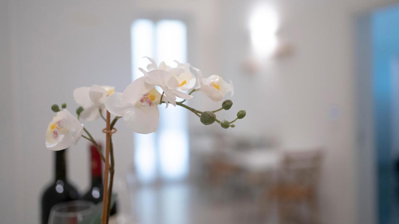 Dimora Fantasia Charme B&B バーリ エクステリア 写真